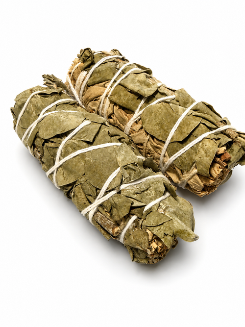 TETTRA Botanical Leaf Smudge Bundle